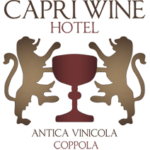 Capri Wine Hotel