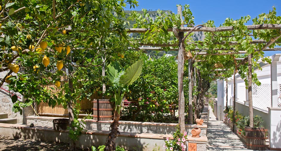 Garden - Capri Wine Hotel